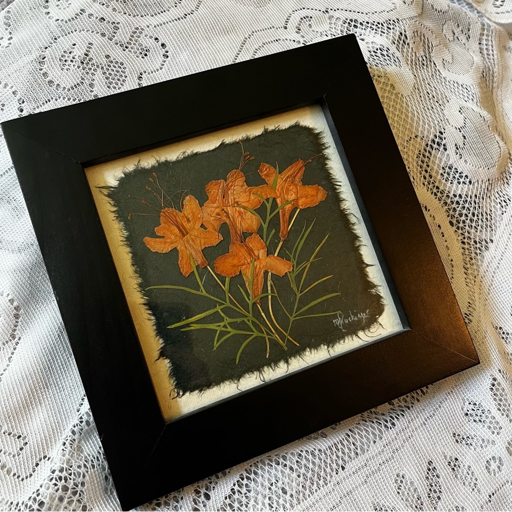 Framed Pressed Azelea Flowers